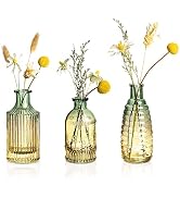 Joeyan Small Embossed Glass Bud Vase Set of 3,Green and Amber Colored Rustic Decorative Vase for ...