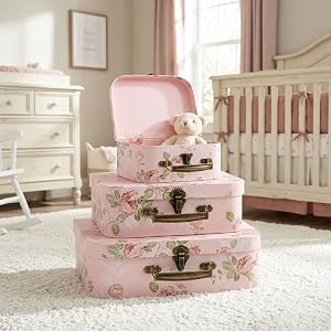 Suitcases Storage Box