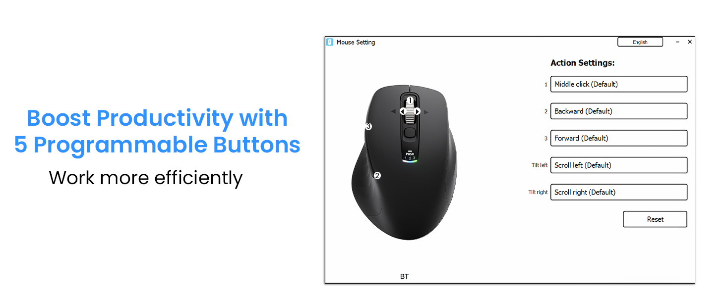 mouse