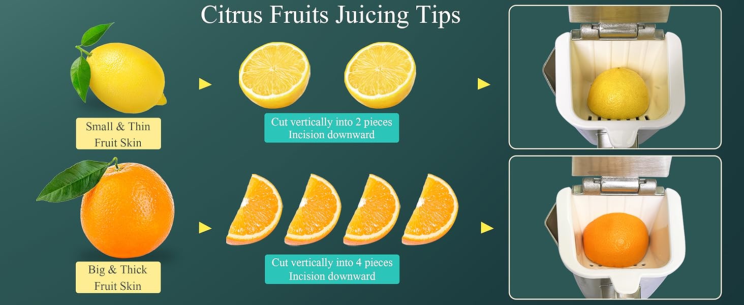 citrus press juicer