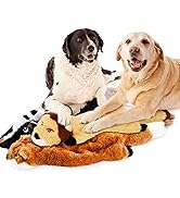 Dog Squeaky Toys No Stuffing