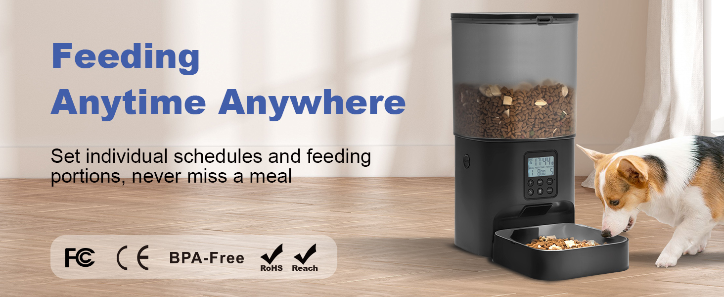 6L Automatic cat feeder -Black