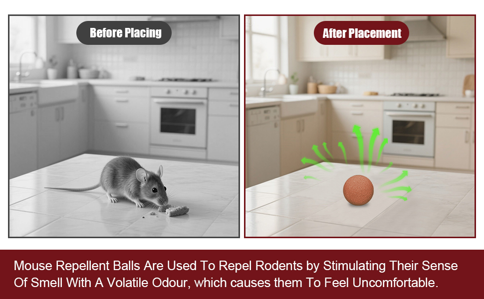 mice repellent indoor.4