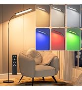 FRIDEKO HOME RGB Floor Lamp Bedroom, 18W 1800LM LED Reading Light, Black | Remote/ Touch Control,...
