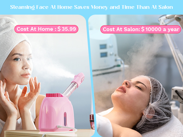 face steamer