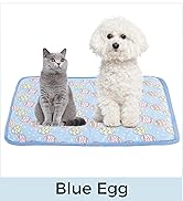 Blue EGG