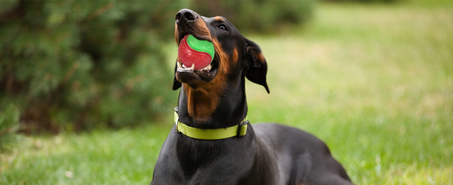 rubber dog ball toys