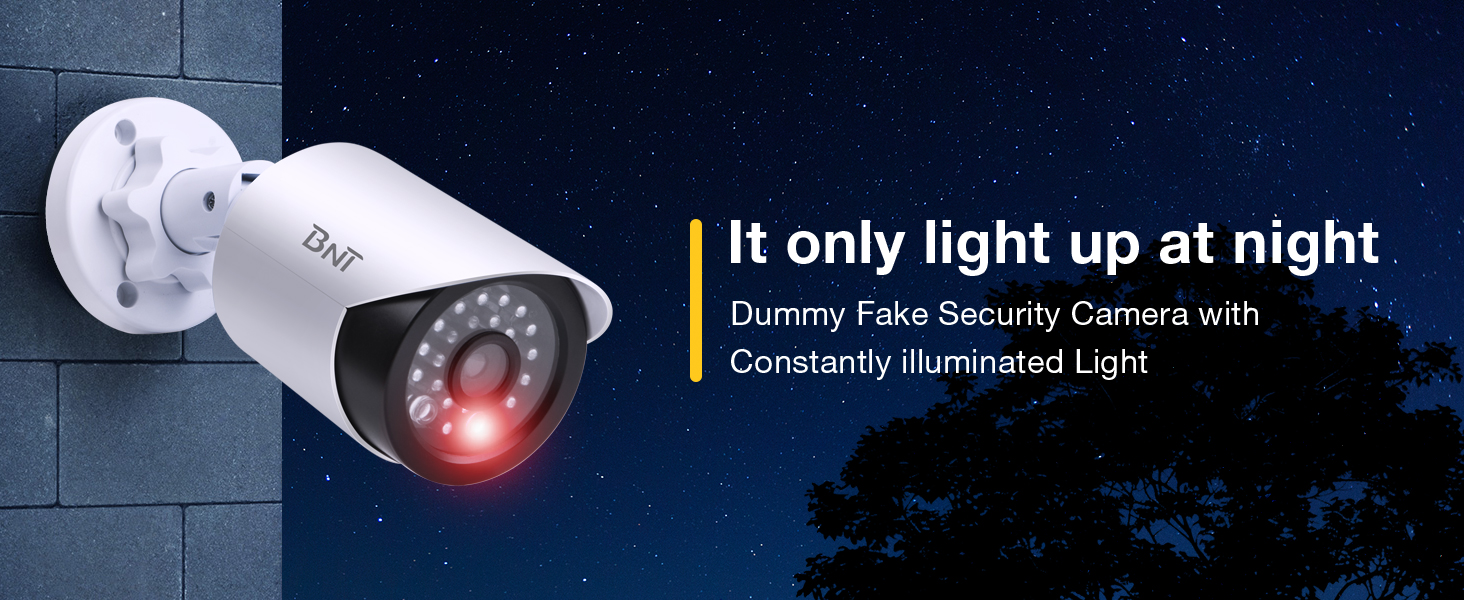 Fake Security Camera