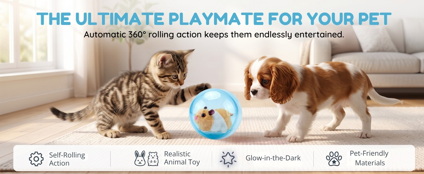 Tabby kitten and puppy playing with a cat toy automatic moving ball on a living room rug.