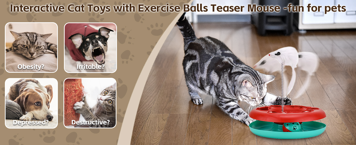 cat toys