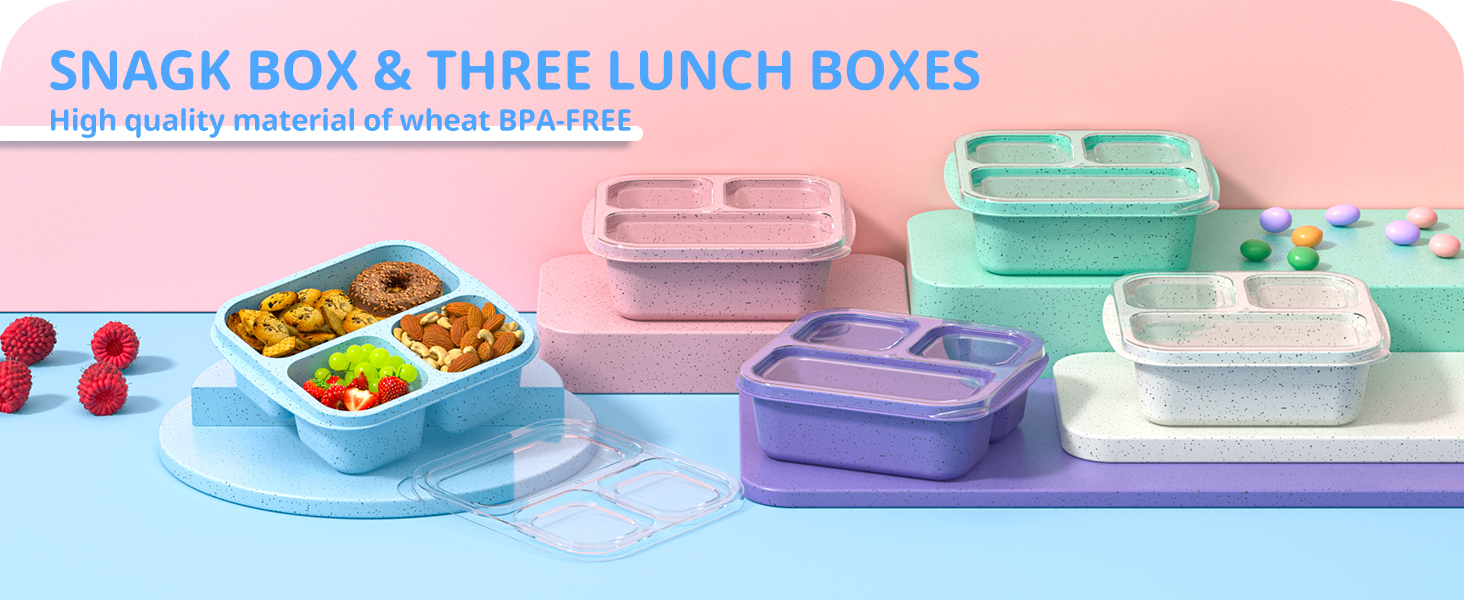 bento box adult lunch box