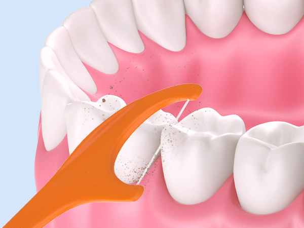 Disposable Toothbrushes with Toothpaste