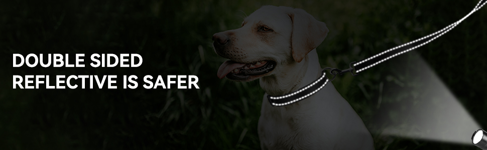 balck leash