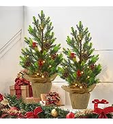 Juegoal 2 Pack Artificial Mini Christmas Trees, 24 Inch Lighted Tabletop Xmas Pine Tree with Ligh...