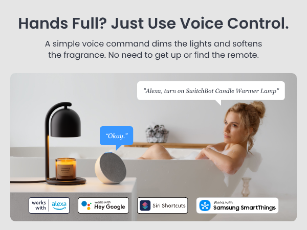 candle lamp warmer with voice