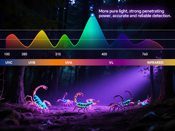 365nm UV Flashlight