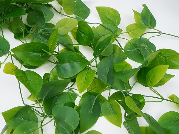 leaves details
