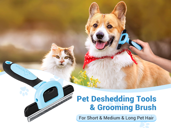 pet brush blue 11