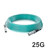 ipolex SFP28 25G AOC Cable Compatible with SFP28-25G-AOC5M, 25GBase Active Optical Cable, 25Gbps