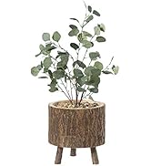 Vintiquewise Wooden Stump Tree Log with Bark Planter Pot with Small Tree Branch Legs