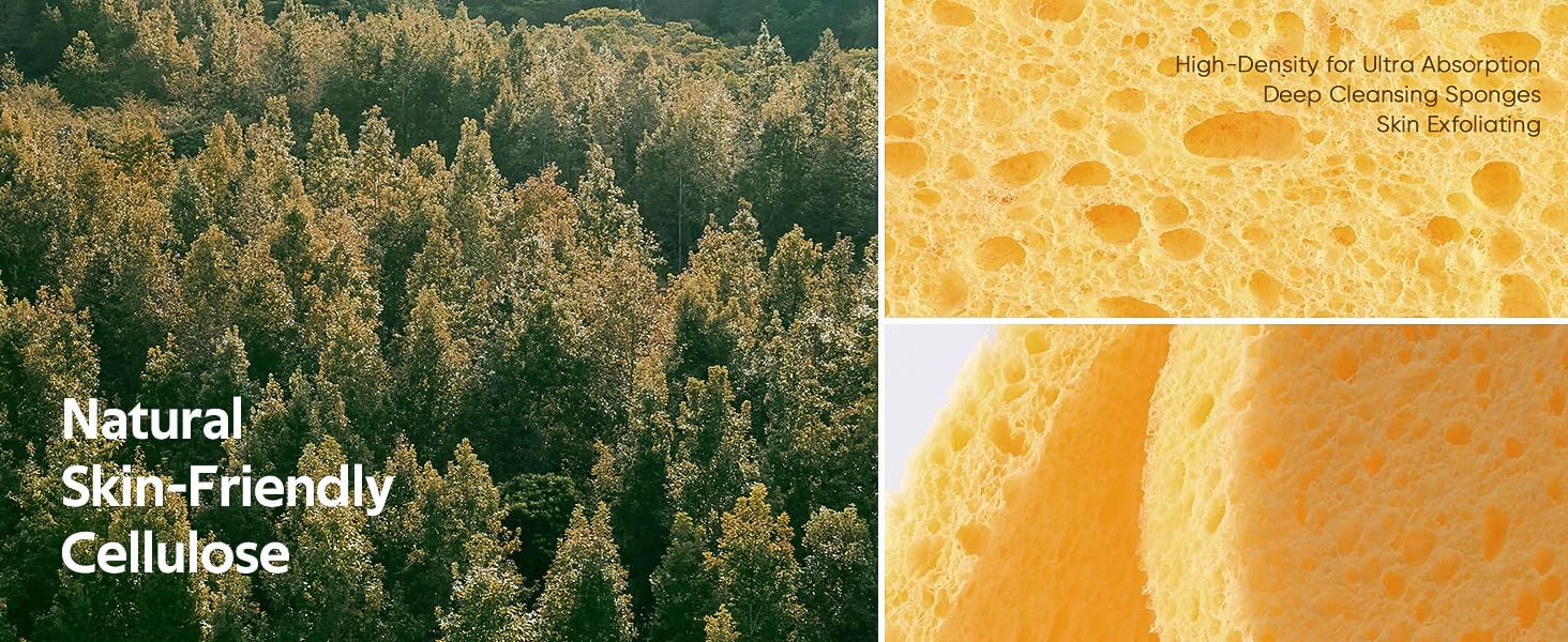 facial sponges