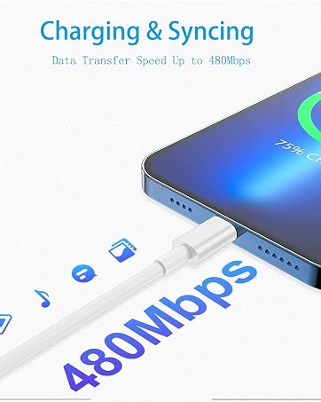 iPhone Charger Apple USB Cable