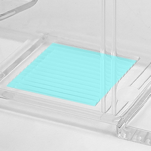 acrylic display holder