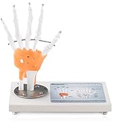 Ultrassist Human Hand Joint Model with Ligaments, Flexible 1:1 Scientific Life Size with 360° Rot...