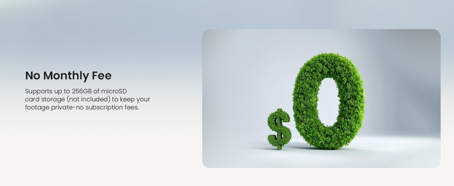 No Monthly Fee