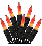 HISHINY Orange Halloween Lights,100 Count Incandescent Lights String with Black Wire,Ideal Outdoo...