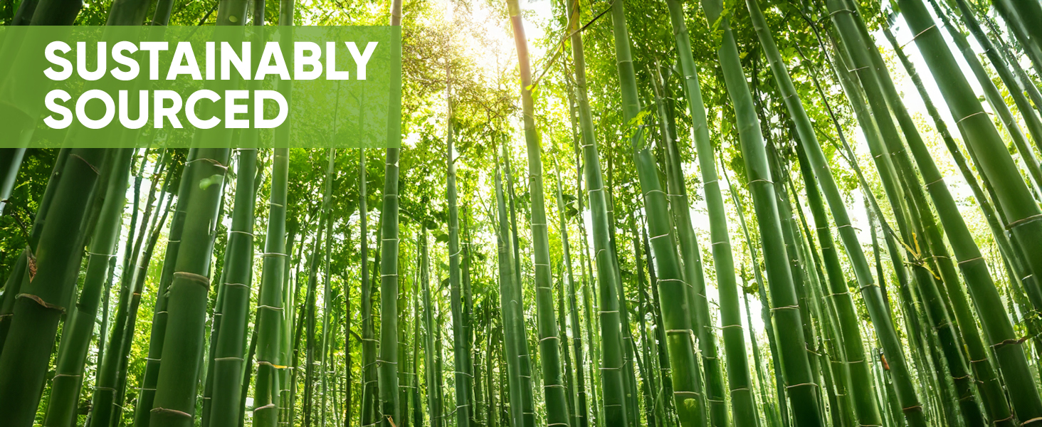 bamboo sticks