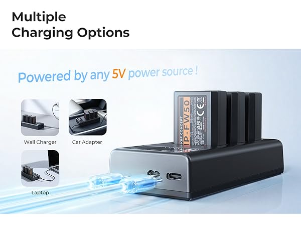 zve10 battery