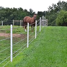 Horse Fence
