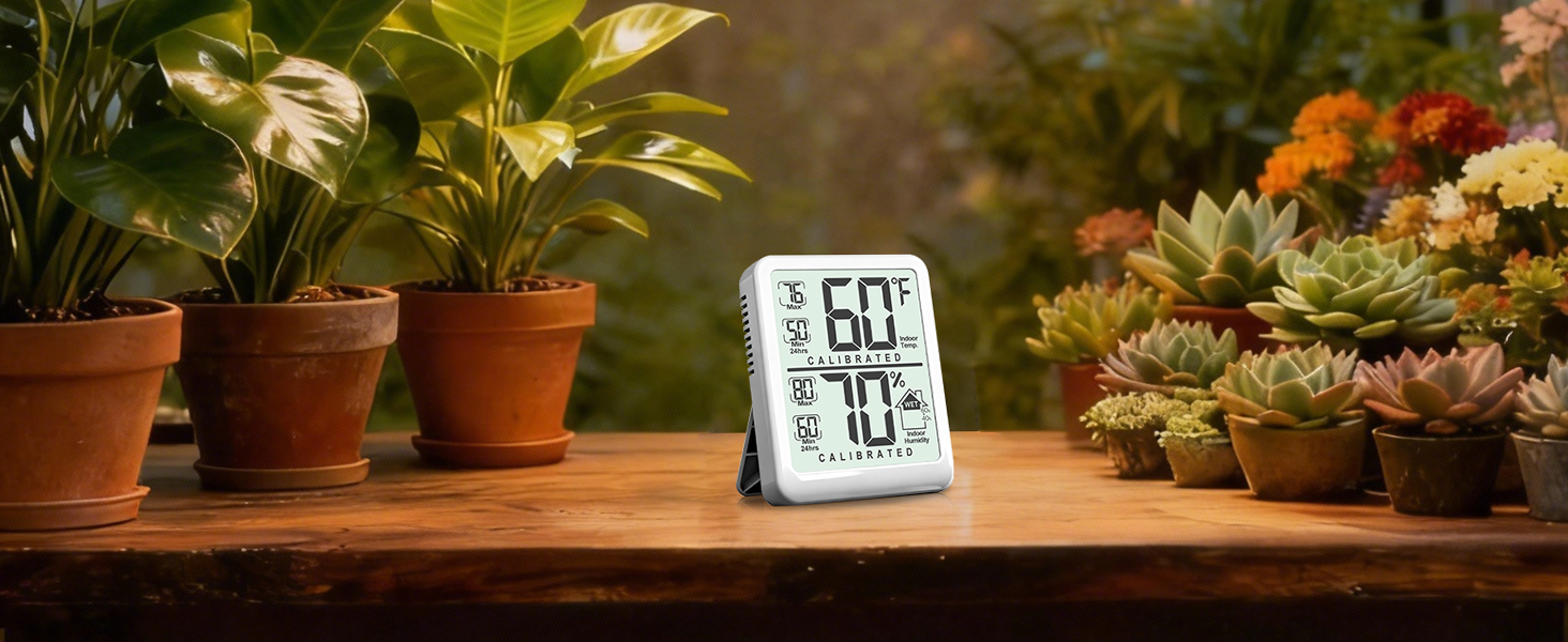 hygrometer indoor humidity