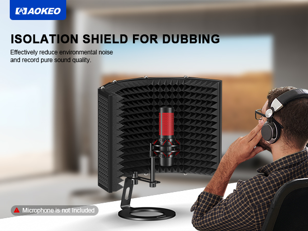microphone filter