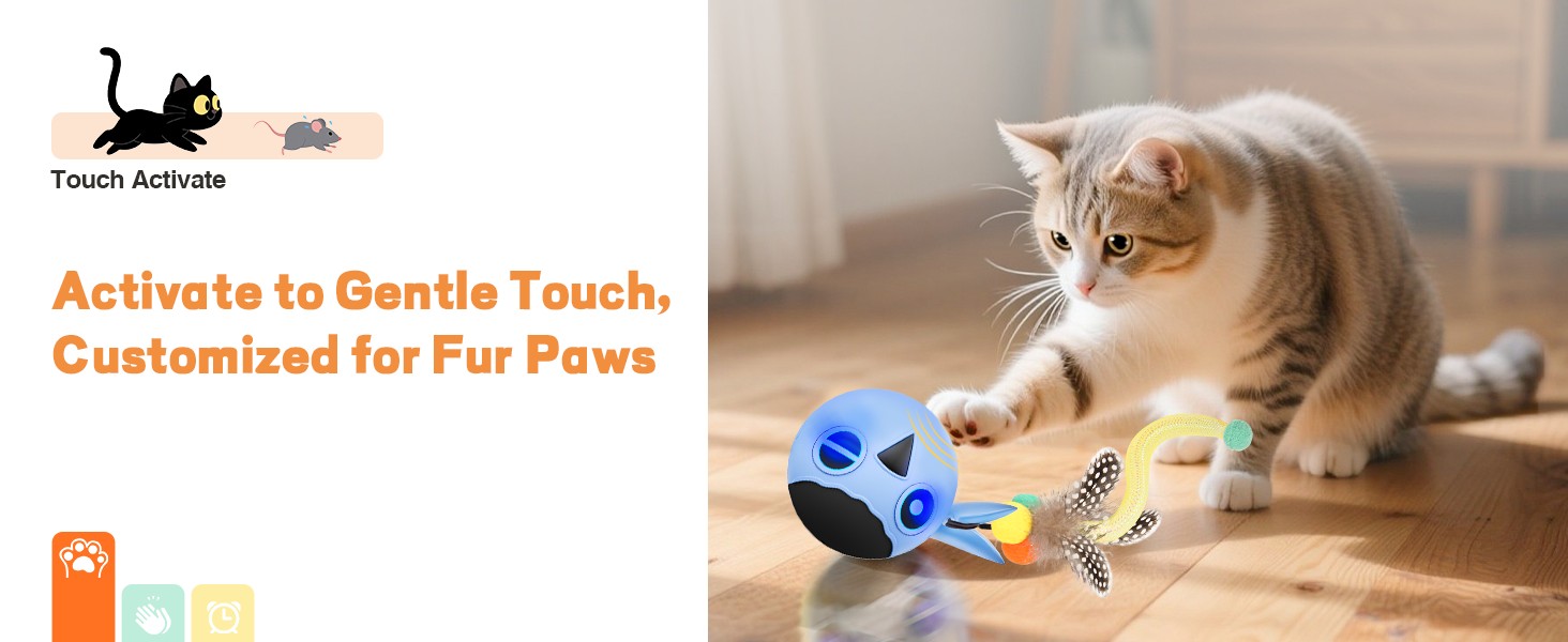 cat toys