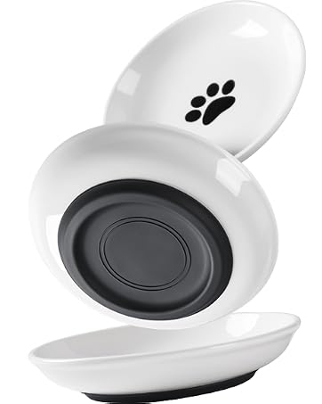 cat dishes