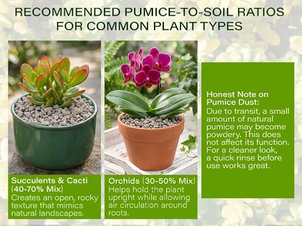 pumice for plant