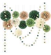AOBKIAT Wedding Party Decorations Set,15PCS Green Tissue Paper Pom Poms,Dots Paper Garland String...