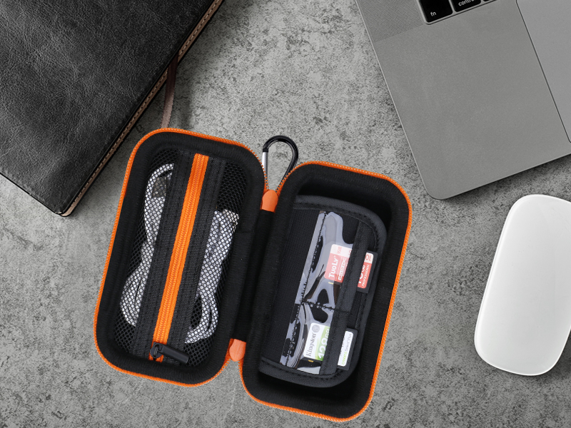sandisk ssd carrying case