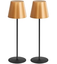 https://m.media-amazon.com/images/I/316-5y9wQsL.__AC_SR200,225___.jpg