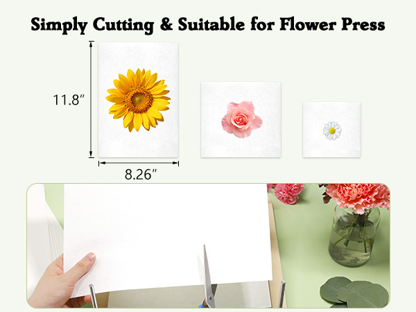blotting paper for flower press