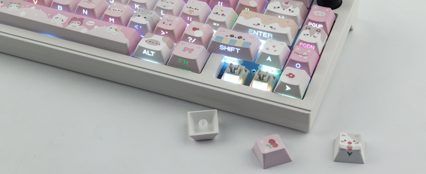 PBT