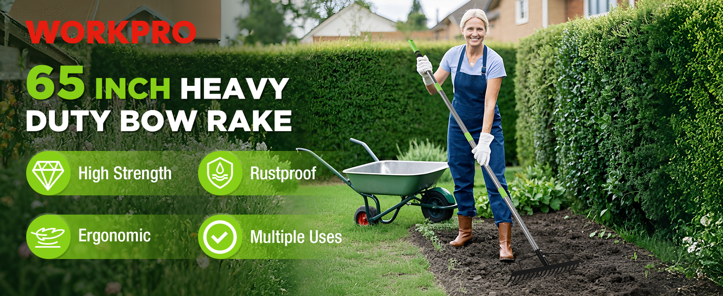 Bow Rake