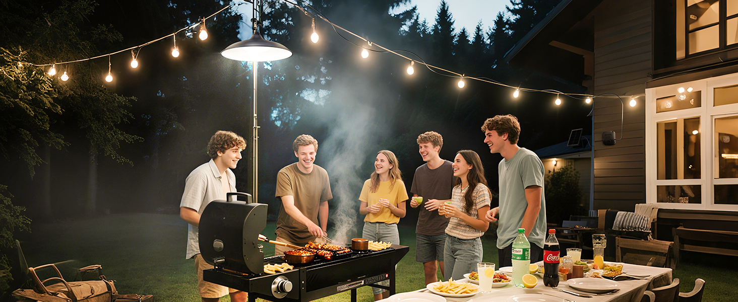 solar shed light