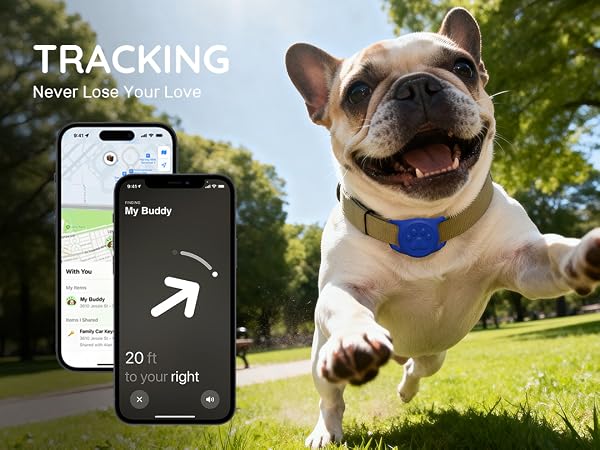 TRACKING Never Lose Your Love