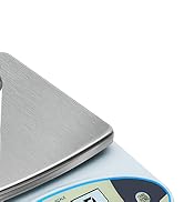 Lab Scale 6000gx0.01g