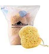 myHomeBody Premium Bath Sponge, Foam Loofah Sponge, Body Sponge for Shower - Large Size, Lots of ...