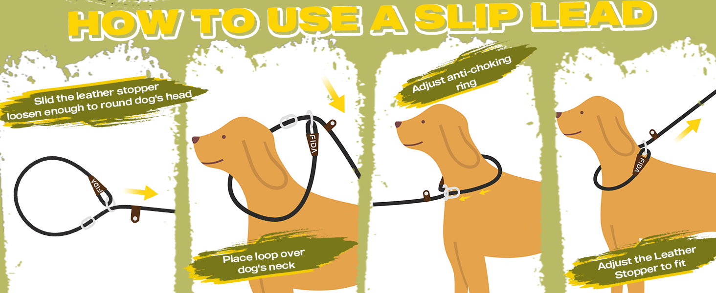 Slip Lead Dog Leash