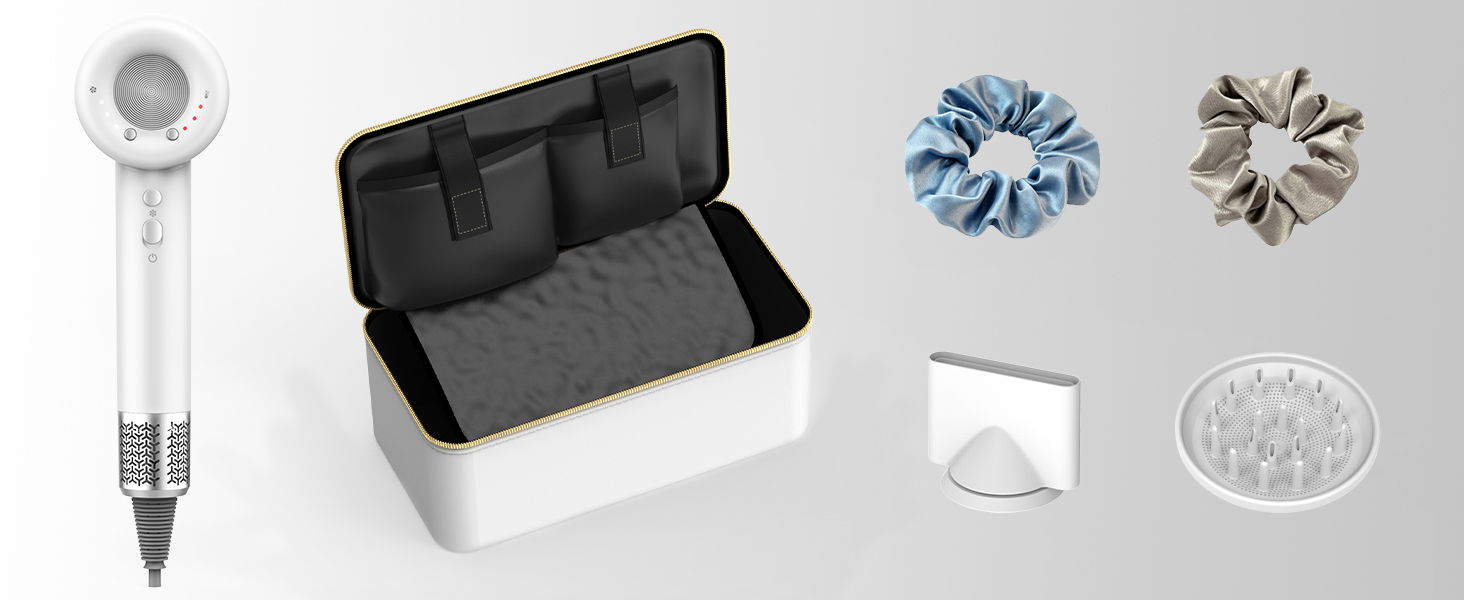 hair dryer with carring case